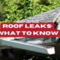 roof leaks 85x85