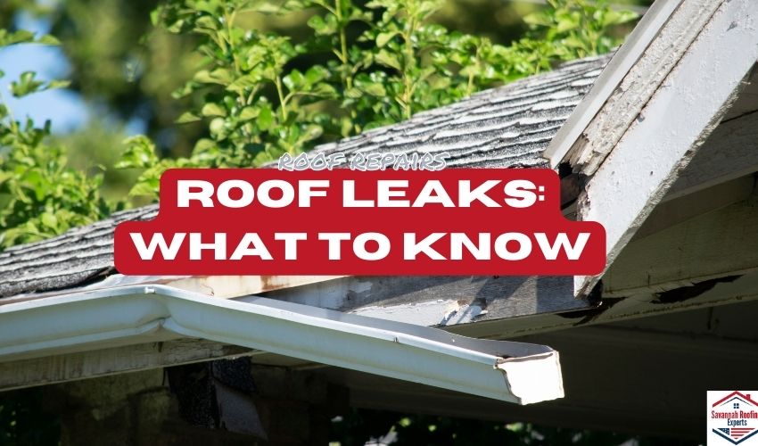 savannah roof leaks