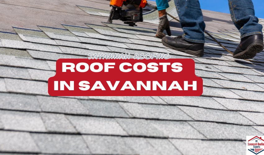 savannah roof costs