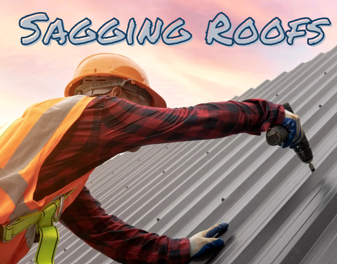 sagging metal roof in savannah