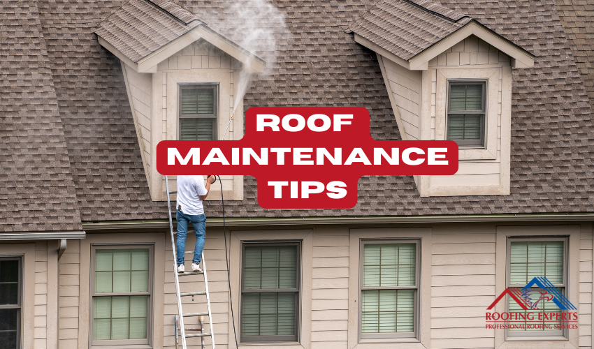 best roof maintenance tips savannah