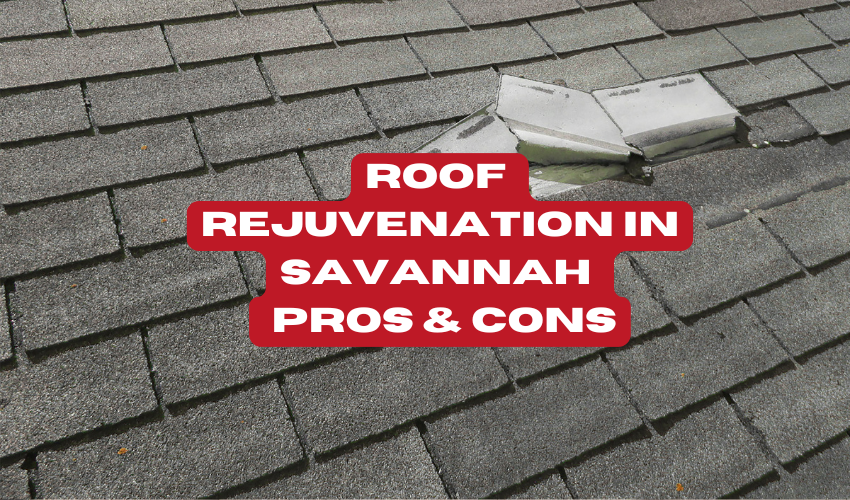 roof rejuvenation savannah rejuvenation spray for roof