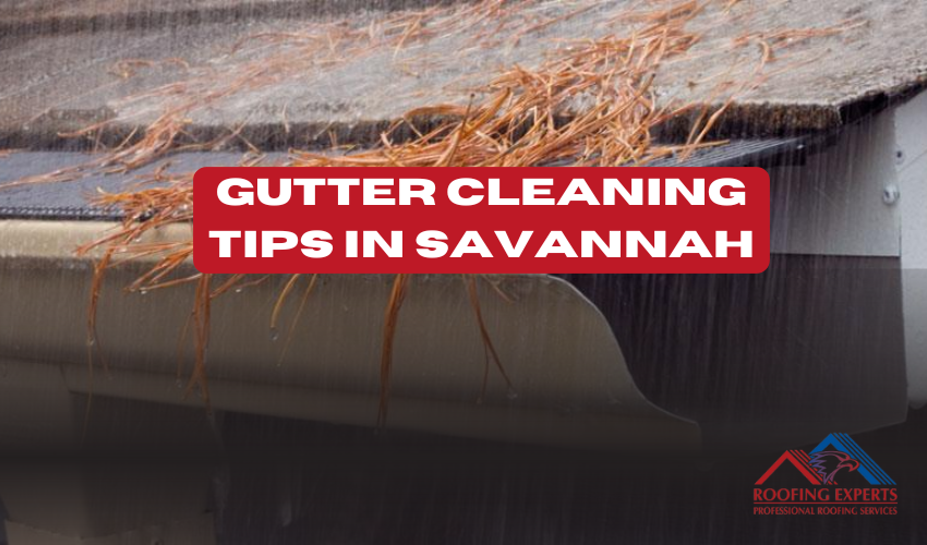 gutter cleaning tips savannah gutter cleaning