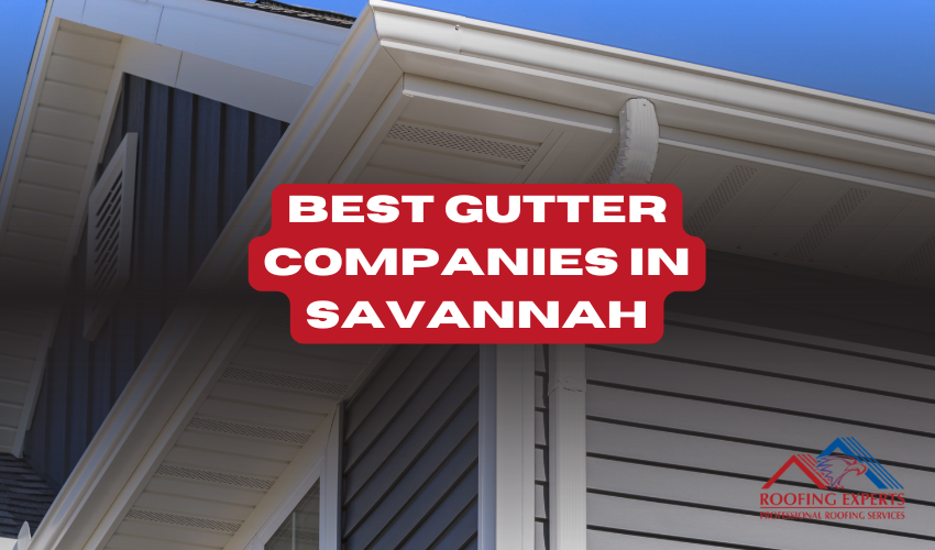 best gutter company savannah